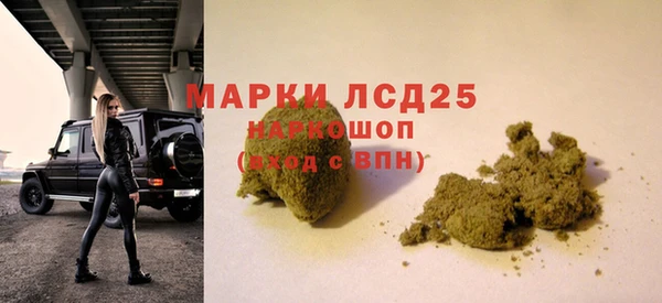 прущие грибы Абинск