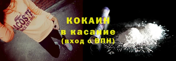 прущие грибы Абинск