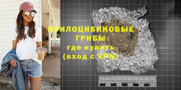 прущие грибы Абинск