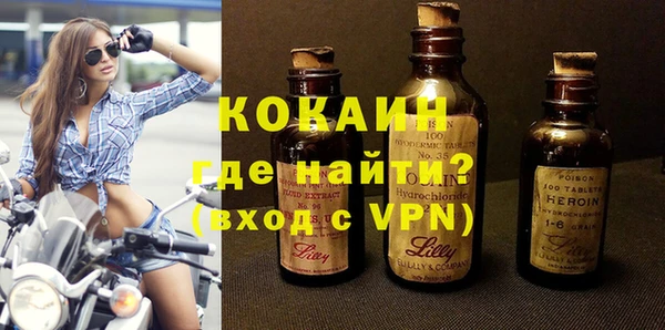 прущие грибы Абинск