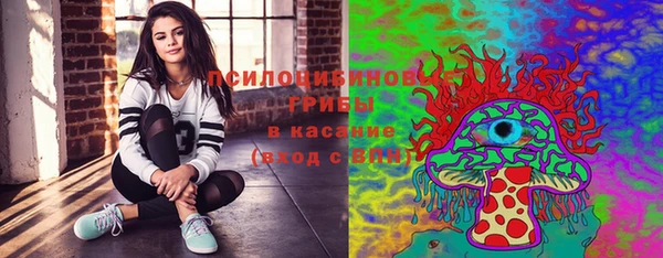 бошки Абаза
