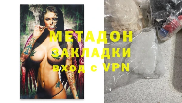 прущие грибы Абинск