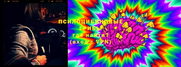 бошки Абаза