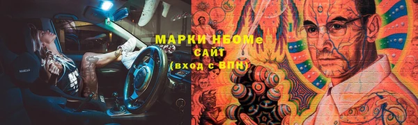 прущие грибы Абинск