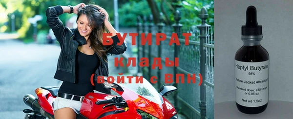 прущие грибы Абинск